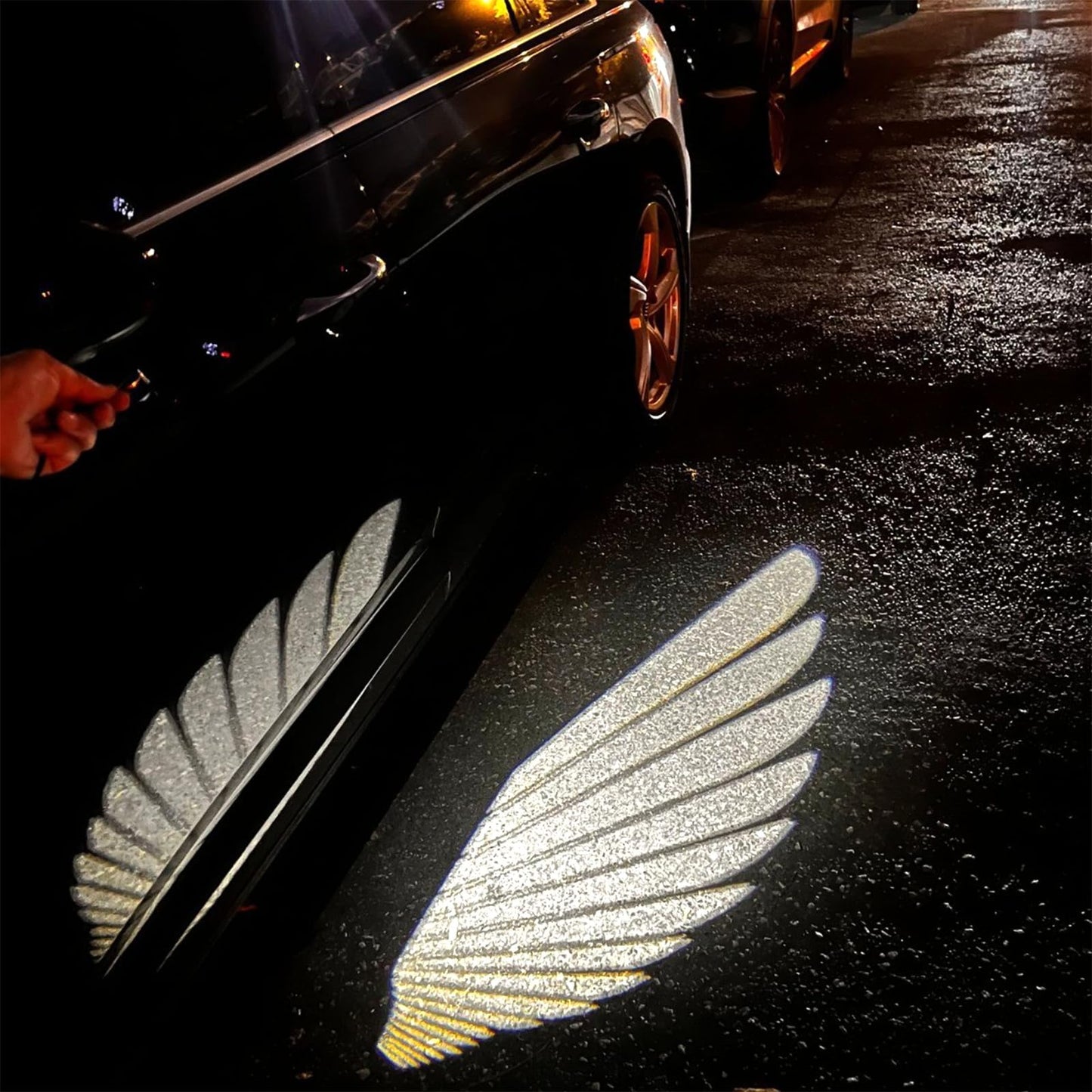 LED Angel Wing Car Door Light